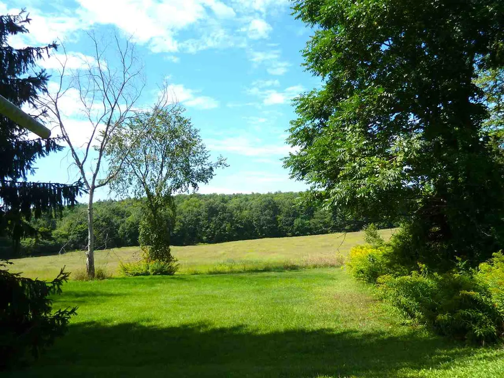 677 Mcconnell Road Brandon VT 05733-1193
