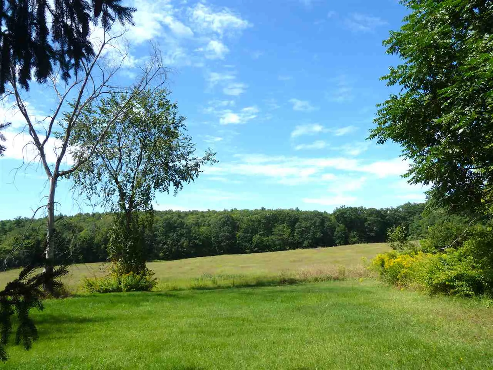 677 Mcconnell Road Brandon VT 05733-1193