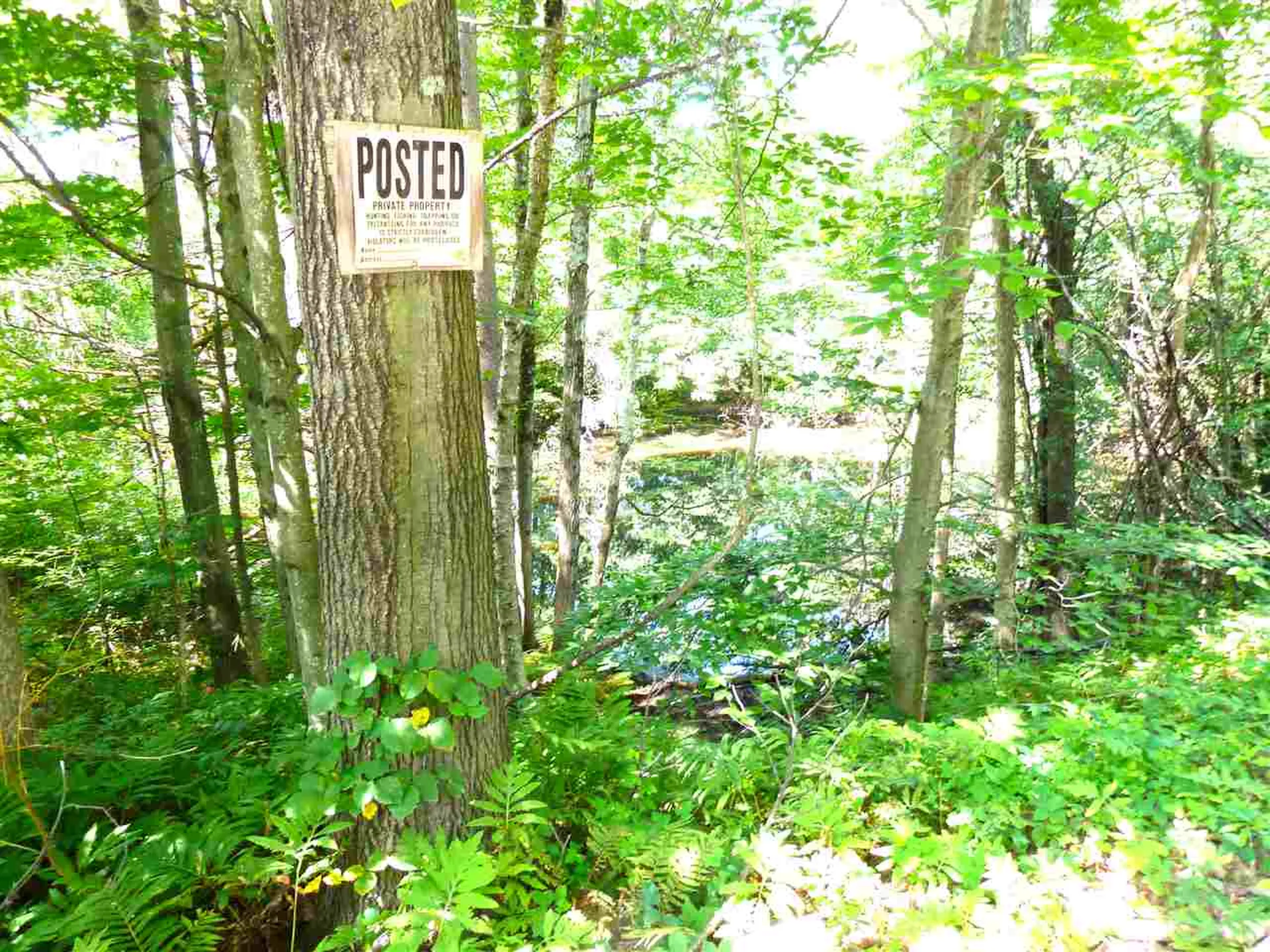 677 Mcconnell Road Brandon VT 05733-1193