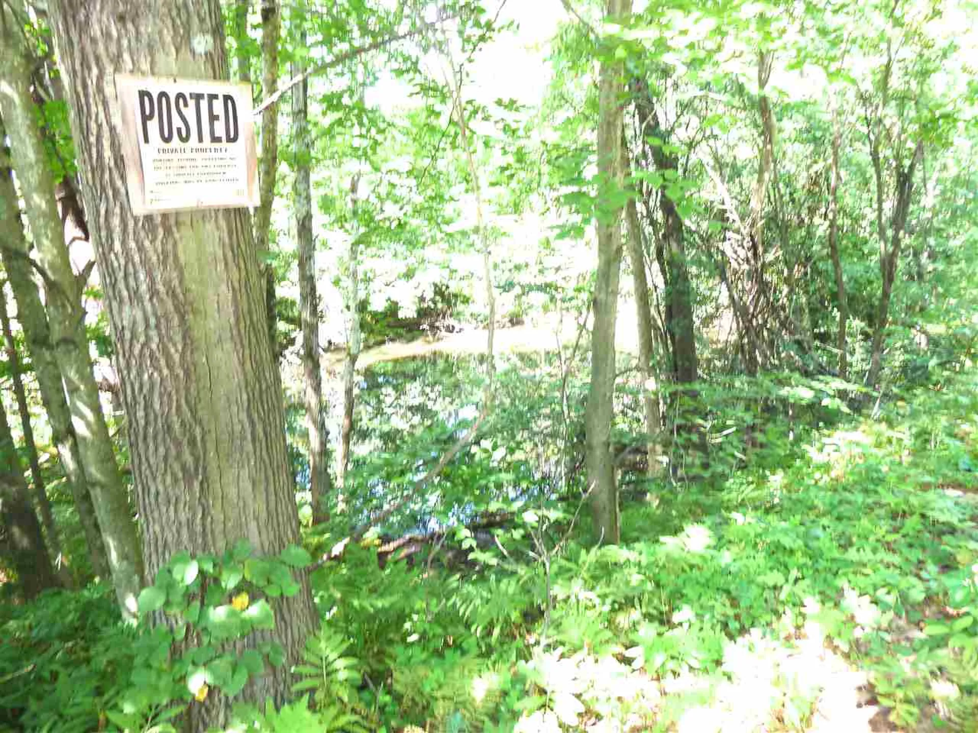 677 Mcconnell Road Brandon VT 05733-1193