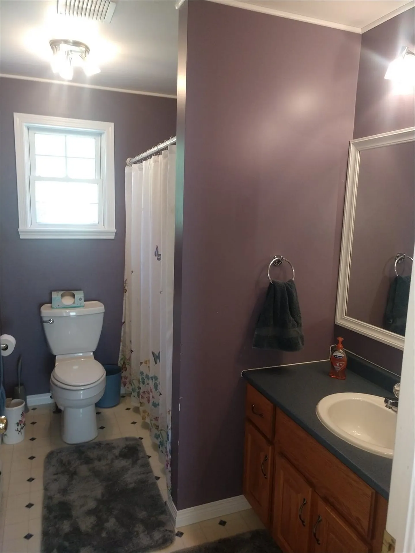14 Earl Drive Milton NH 03851