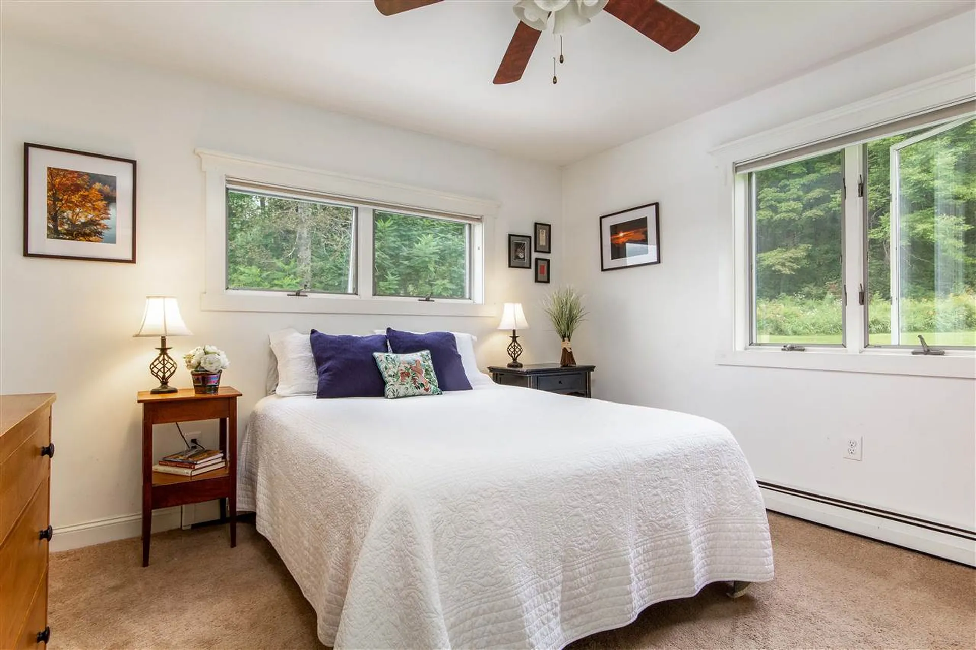 195 Beaver Meadow Road Marshfield VT 05658