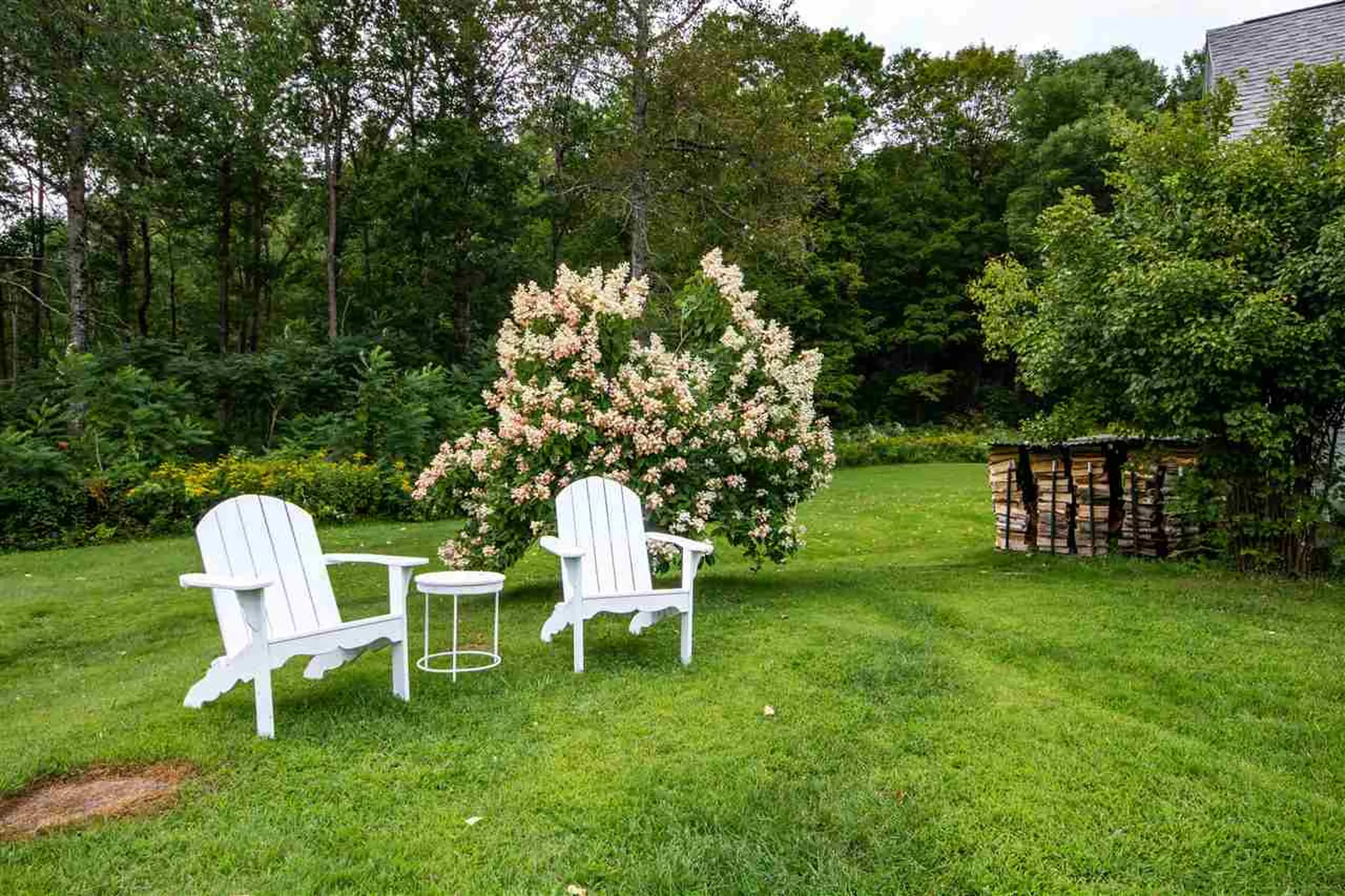 195 Beaver Meadow Road Marshfield VT 05658