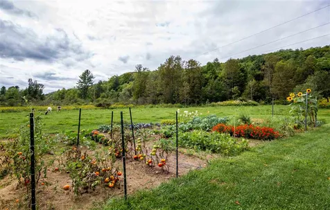 195 Beaver Meadow Road Marshfield VT 05658