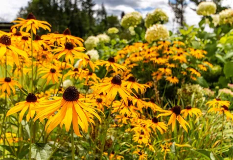 195 Beaver Meadow Road Marshfield VT 05658