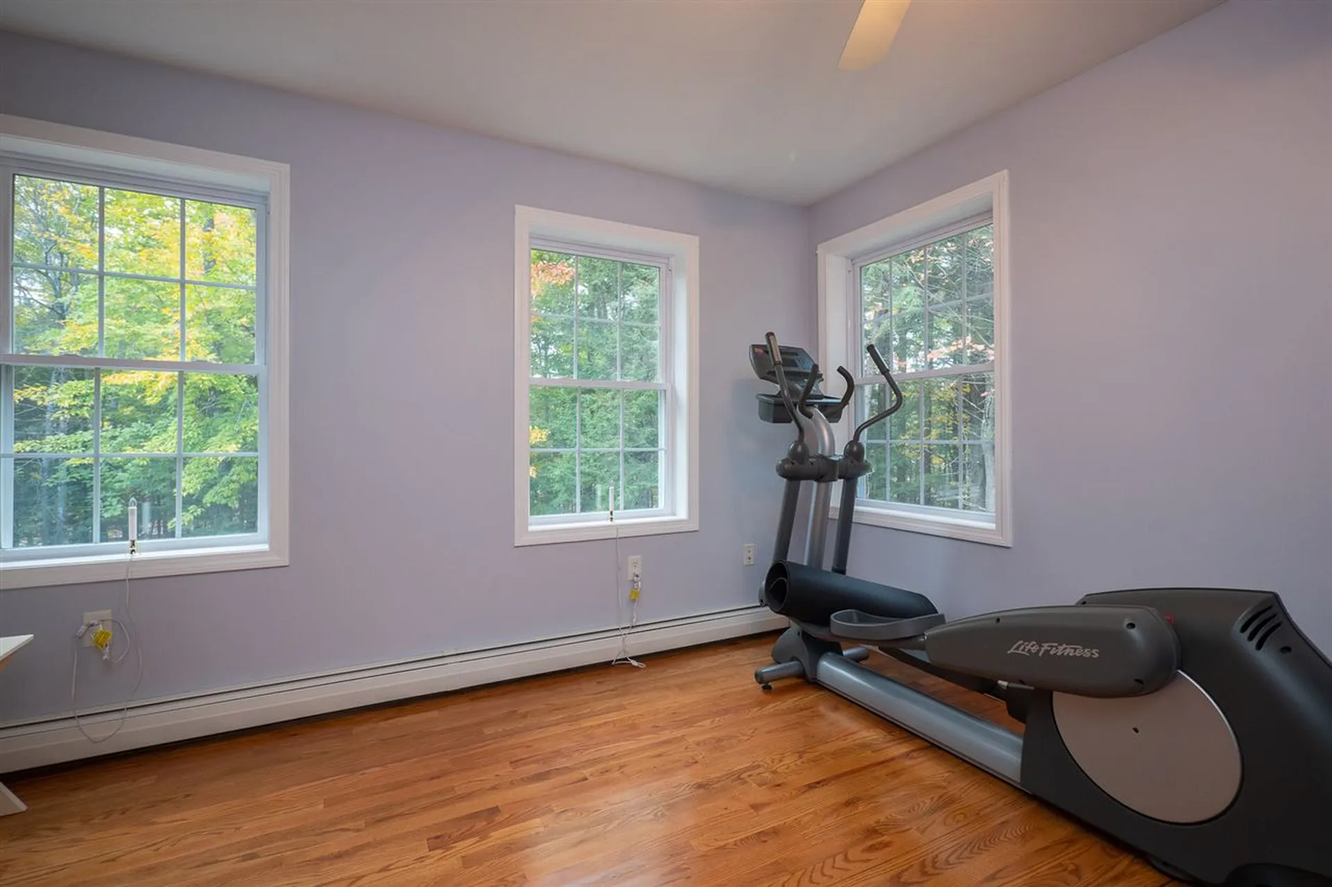271 Roller Coaster Road Strafford NH 03884