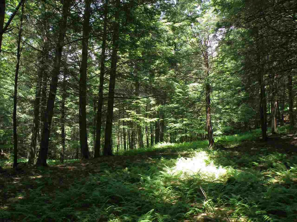 0 Stevens Road West Fairlee VT 05083