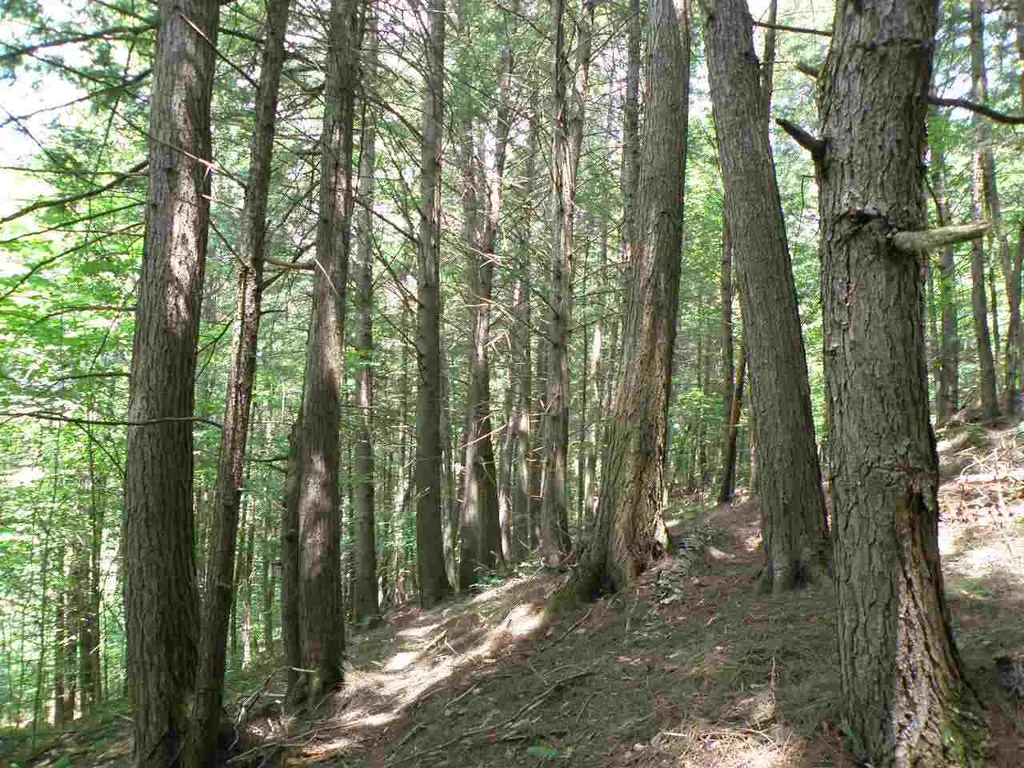 0 Stevens Road West Fairlee VT 05083