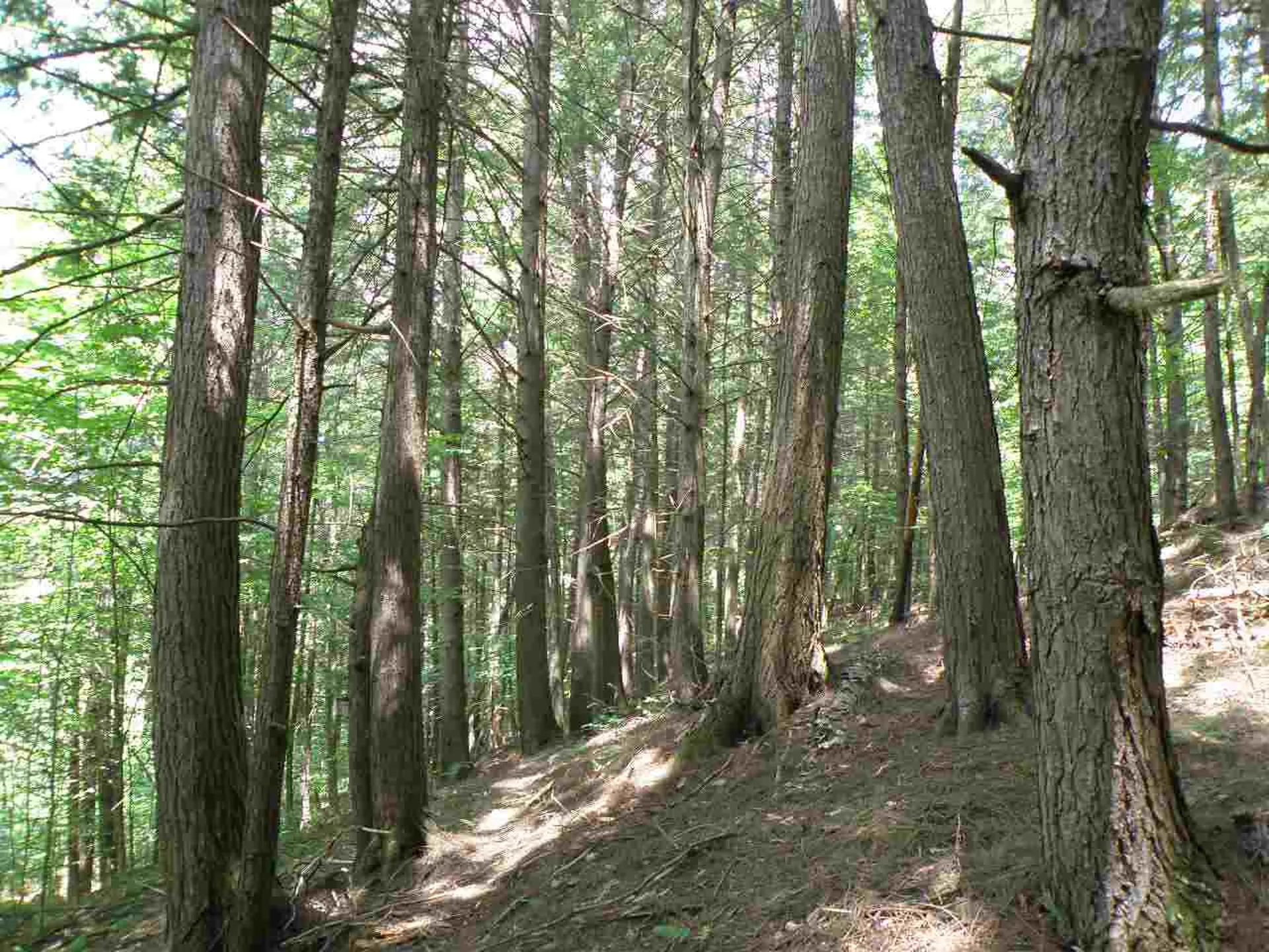 0 Stevens Road West Fairlee VT 05083
