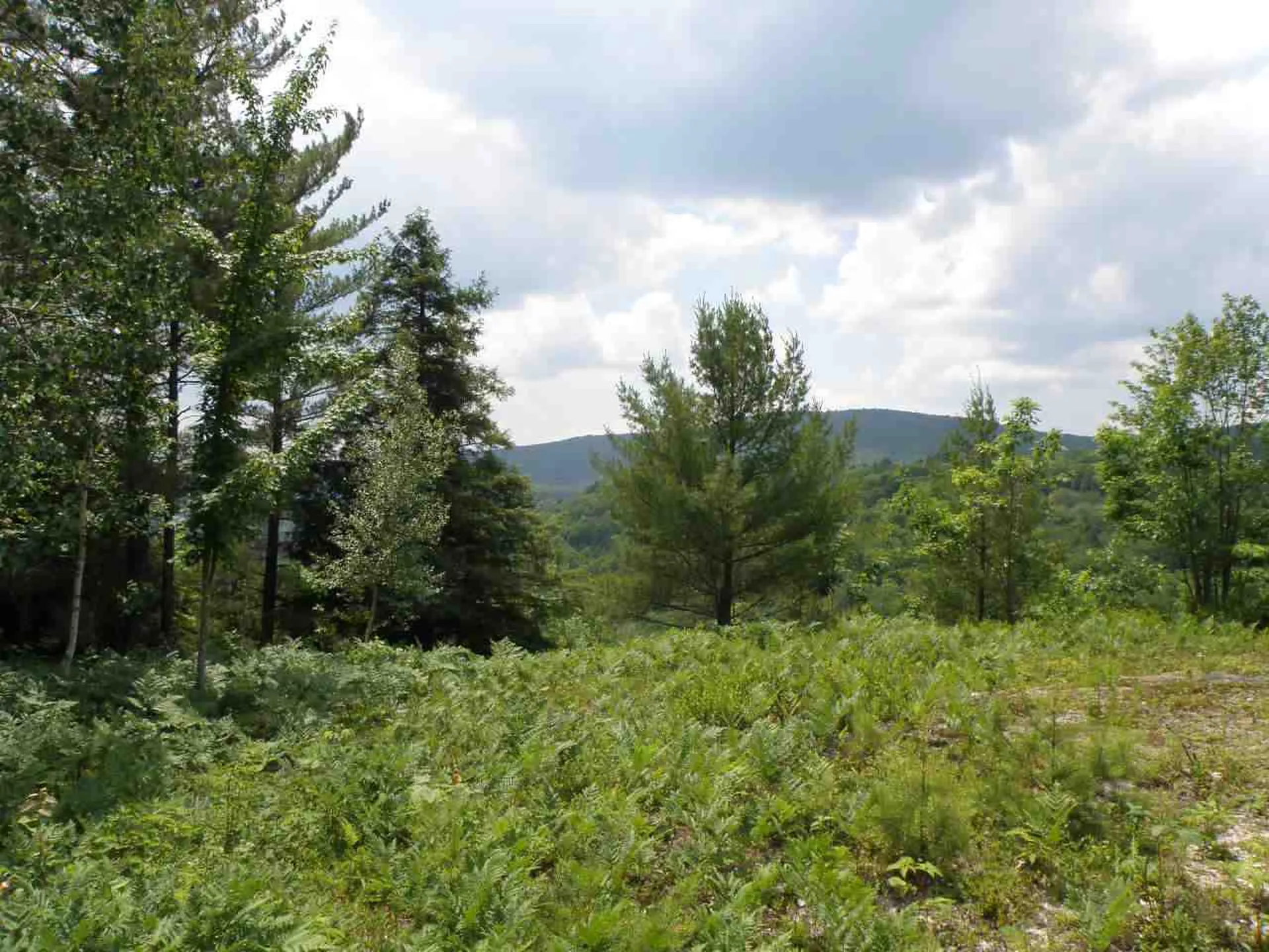 0 Stevens Road West Fairlee VT 05083