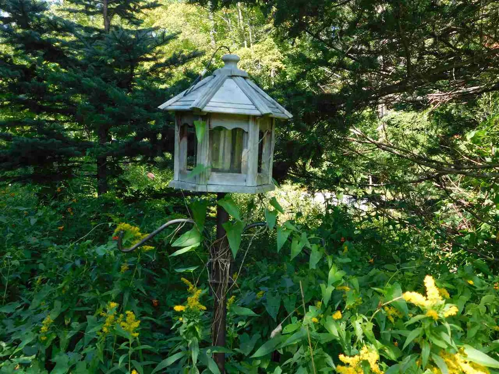121 Hallstrom Road Northfield VT 05663