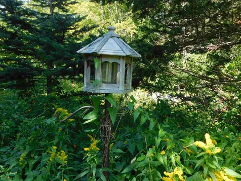 121 Hallstrom Road Northfield VT 05663