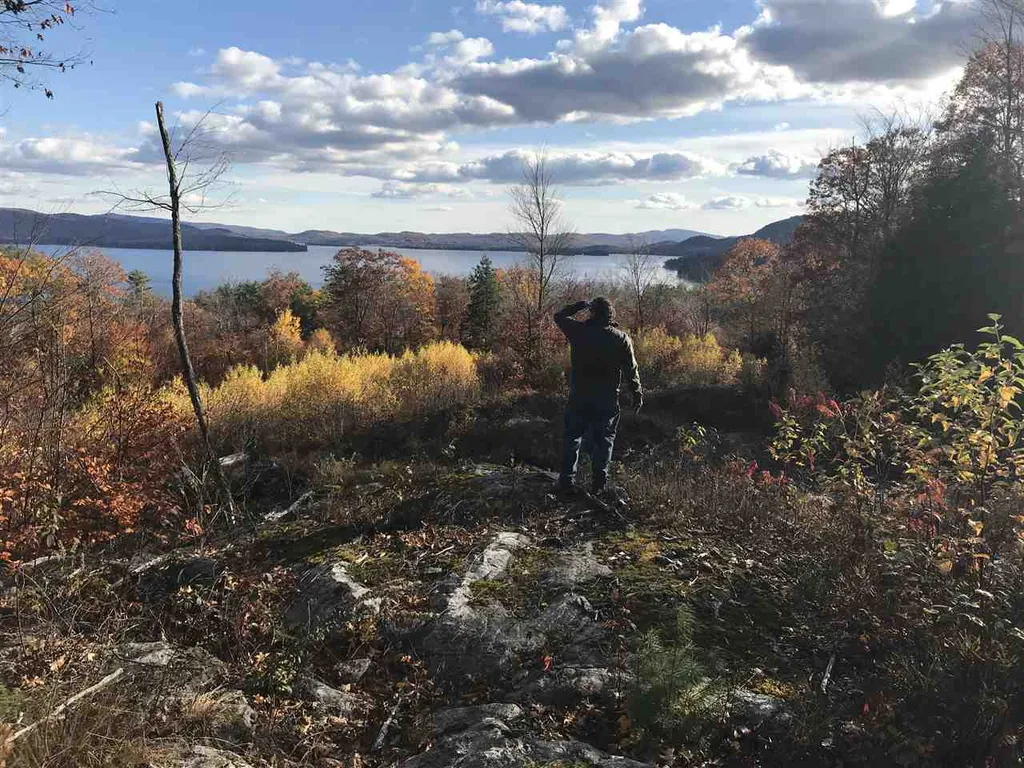 Lot 46 2-1 George Road Hebron NH 03241