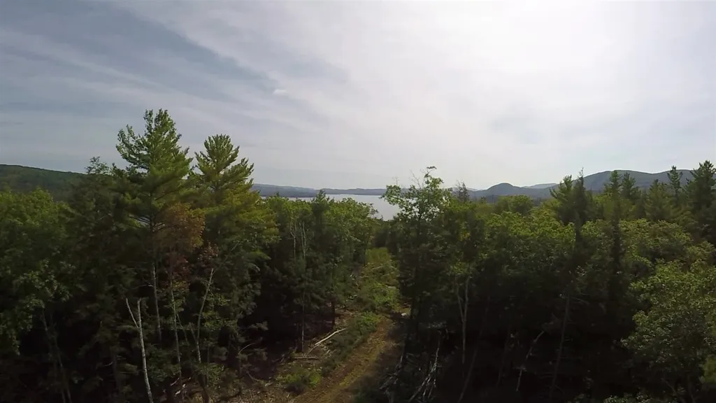 Lot 46 2-1 George Road Hebron NH 03241