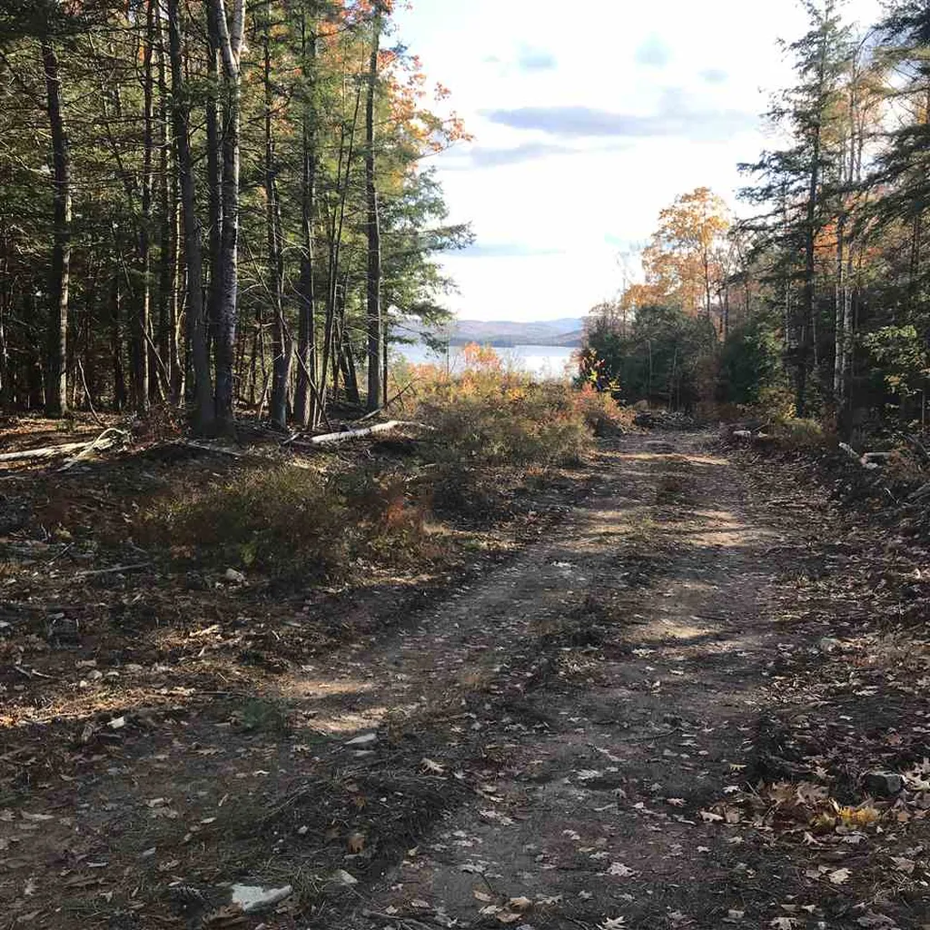 Lot 46 2-1 George Road Hebron NH 03241