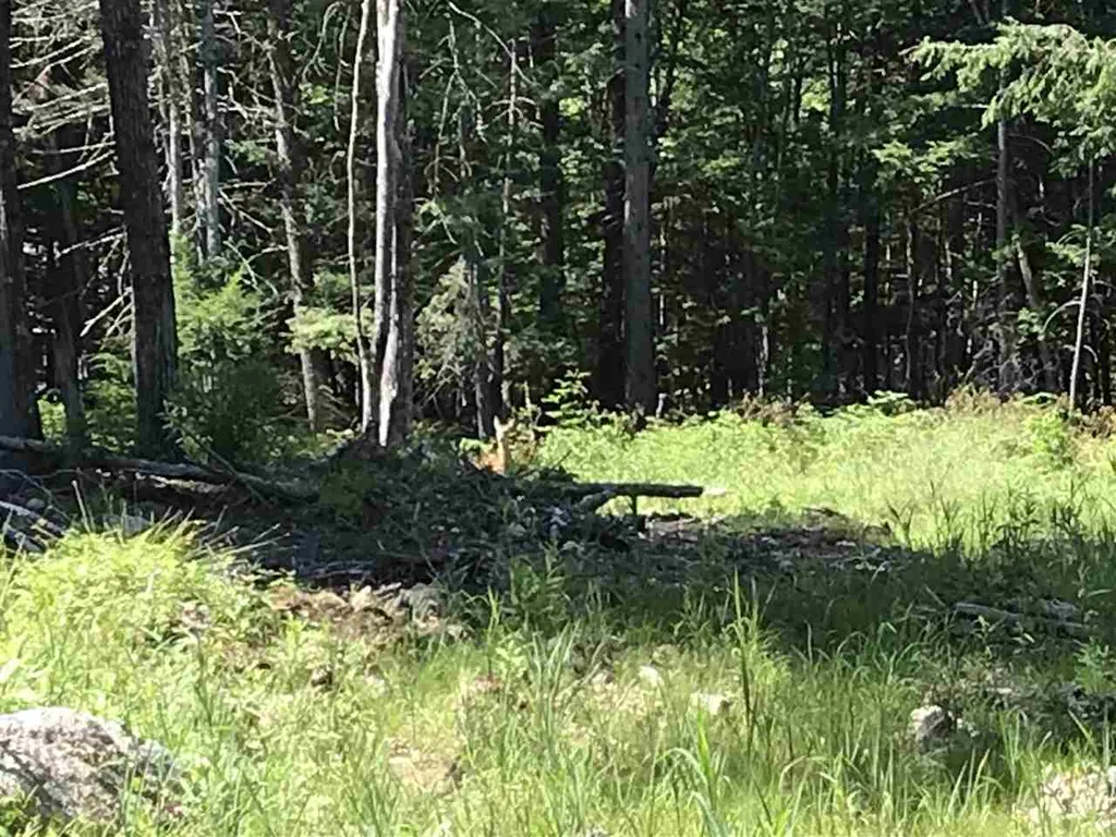 Lot 46 2-1 George Road Hebron NH 03241