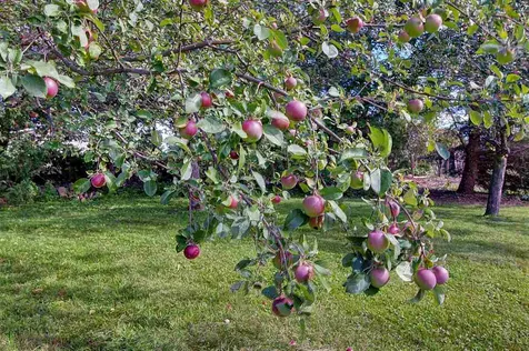 2785 West Shore Road Isle La Motte VT 05463