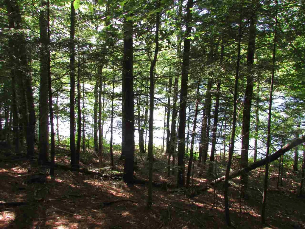 1155 Goose Pond Road Canaan NH 03741