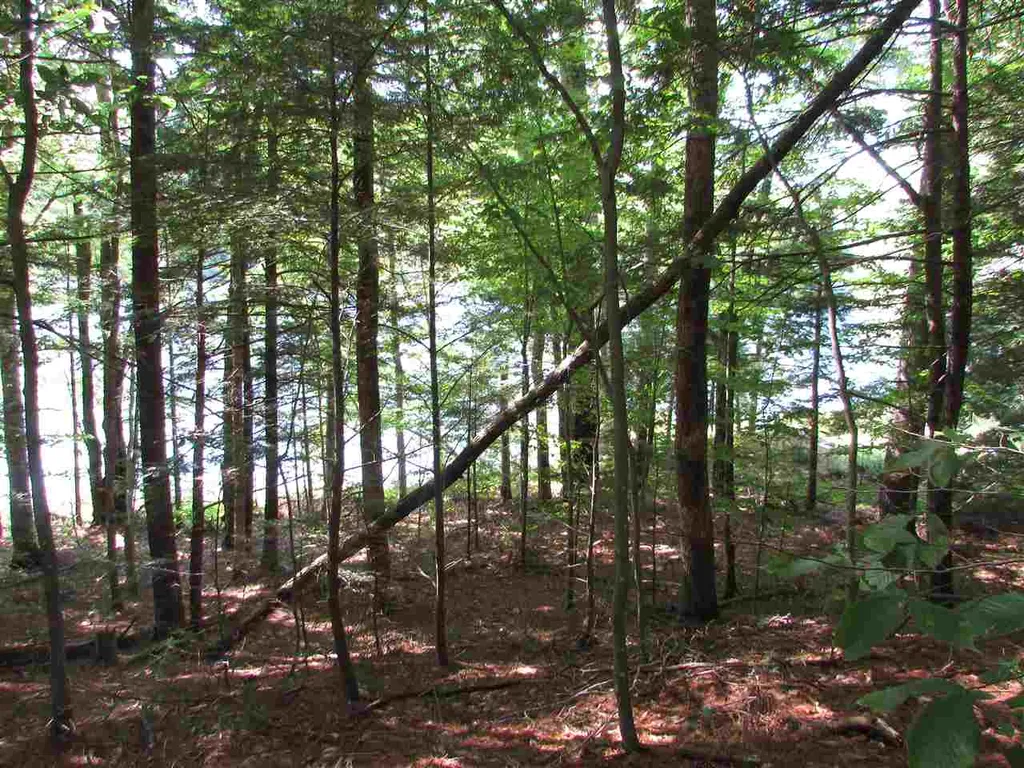 1155 Goose Pond Road Canaan NH 03741
