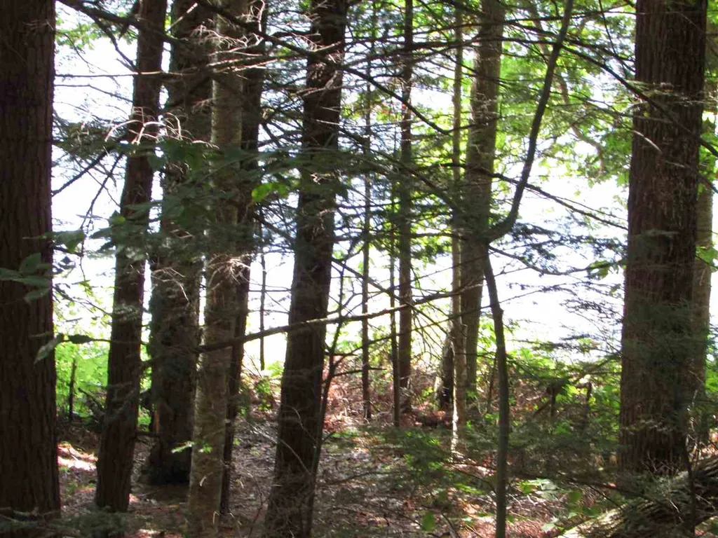 1155 Goose Pond Road Canaan NH 03741