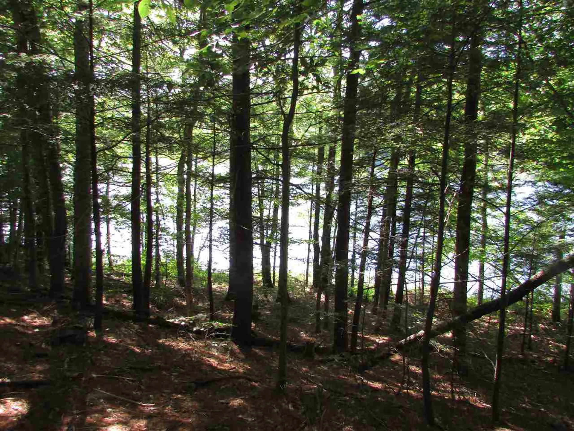 1155 Goose Pond Road Canaan NH 03741