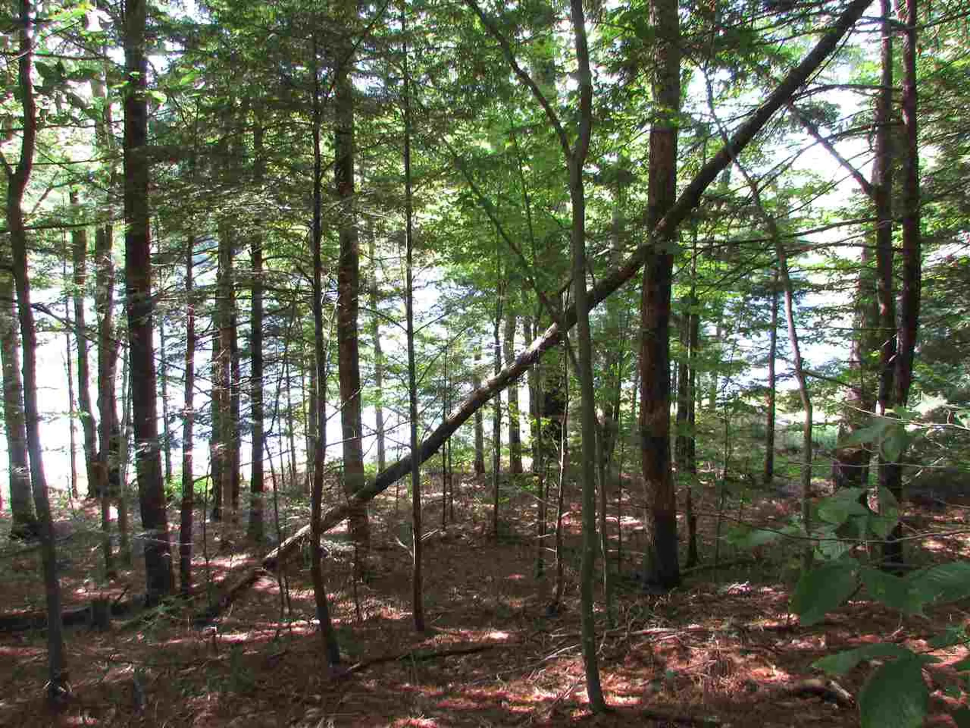 1155 Goose Pond Road Canaan NH 03741