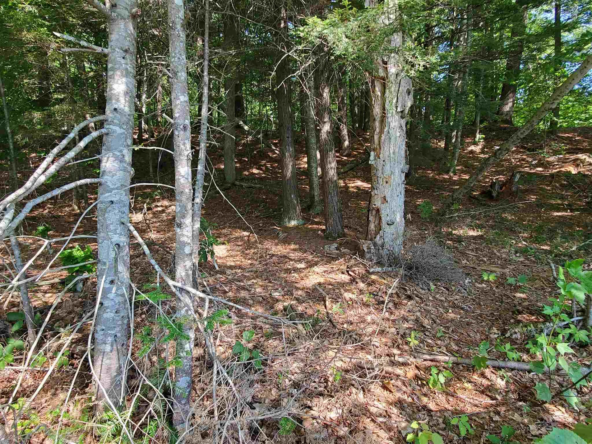 1155 Goose Pond Road Canaan NH 03741