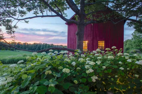 1785 Coits Pond Road Cabot VT 05647