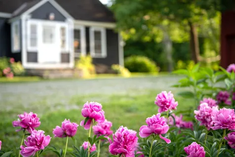 1785 Coits Pond Road Cabot VT 05647