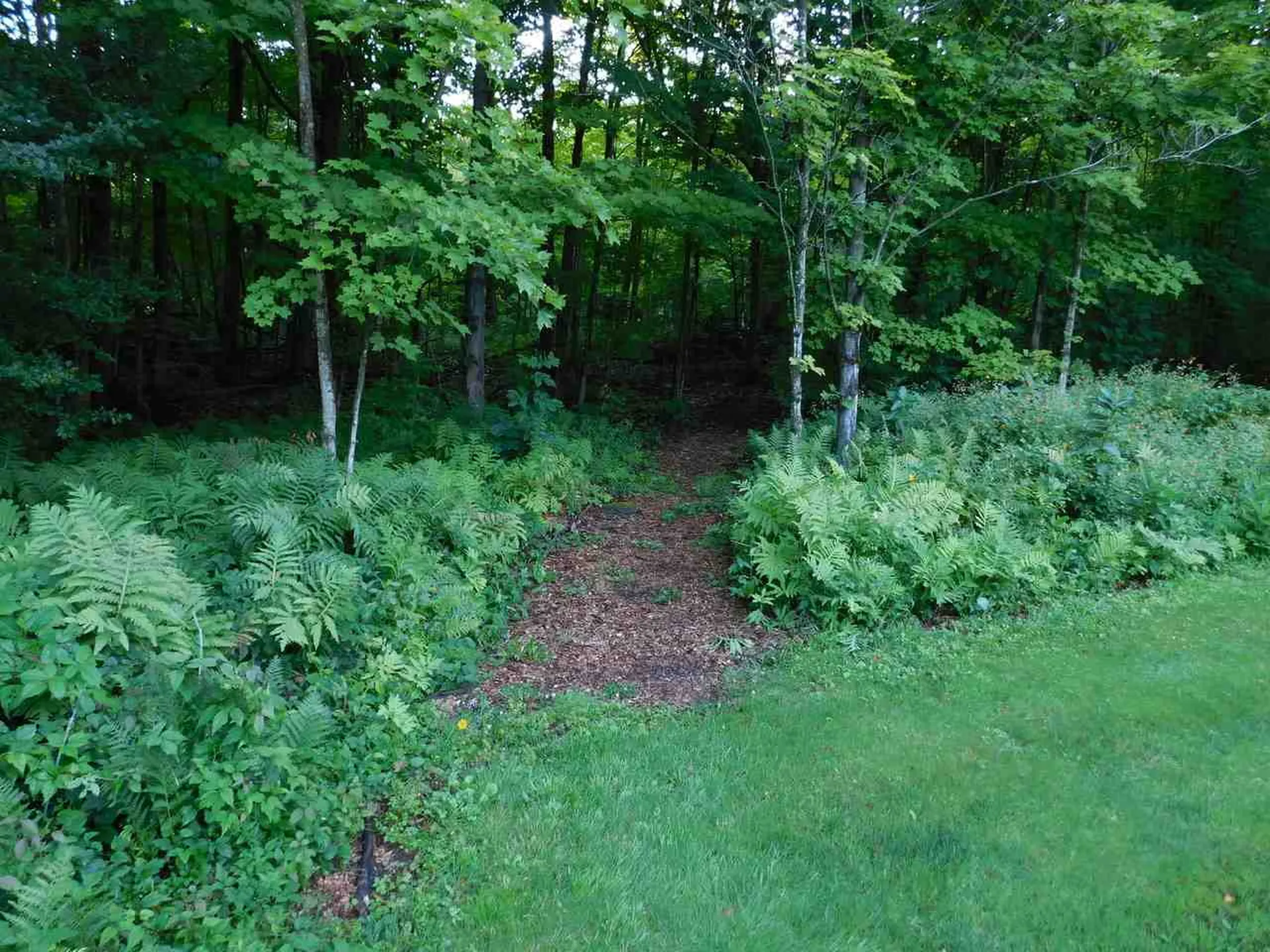 59 Village View Road Fairfax VT 05454