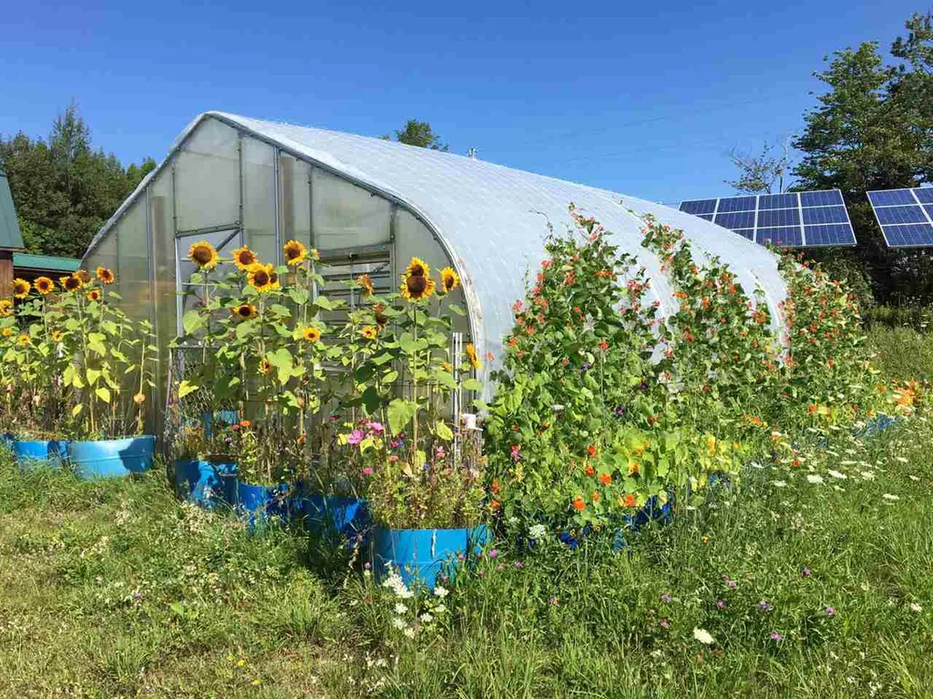3513 Chilafoux Road Brownington VT 05860