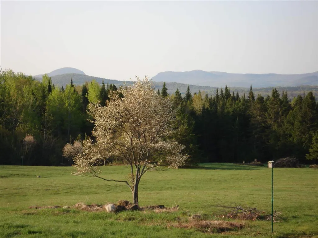 3513 Chilafoux Road Brownington VT 05860