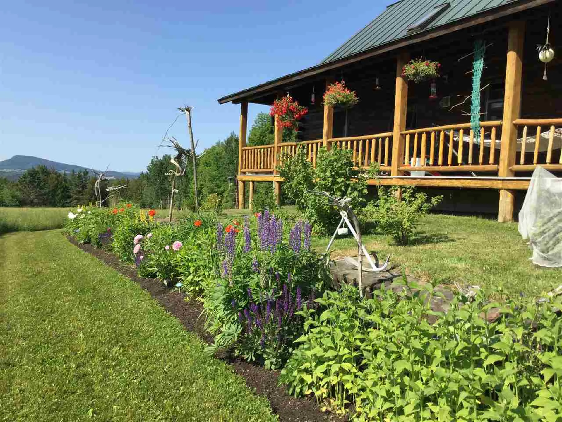 3513 Chilafoux Road Brownington VT 05860
