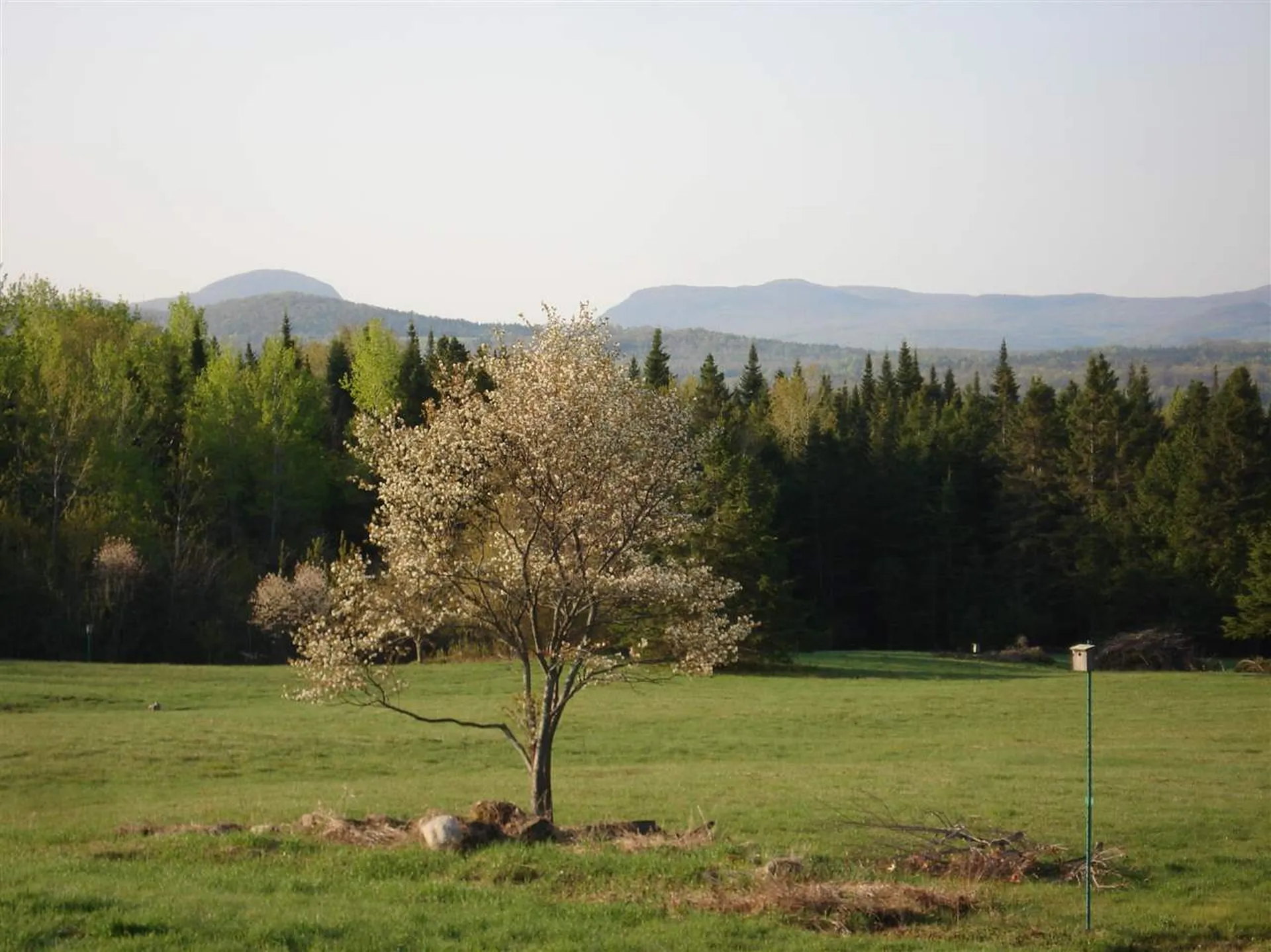 3513 Chilafoux Road Brownington VT 05860
