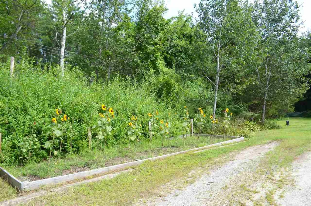 86 Waterloo Street Warner NH 03278