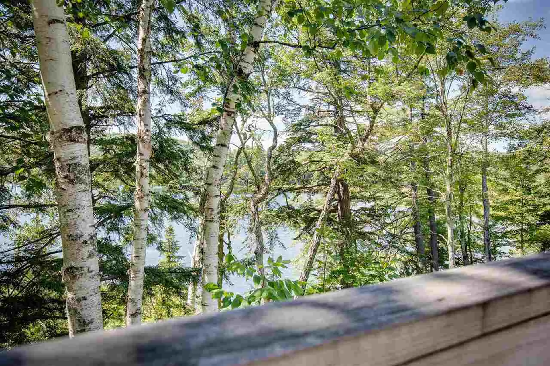 863 Halfmoon Pond Road Washington NH 03280