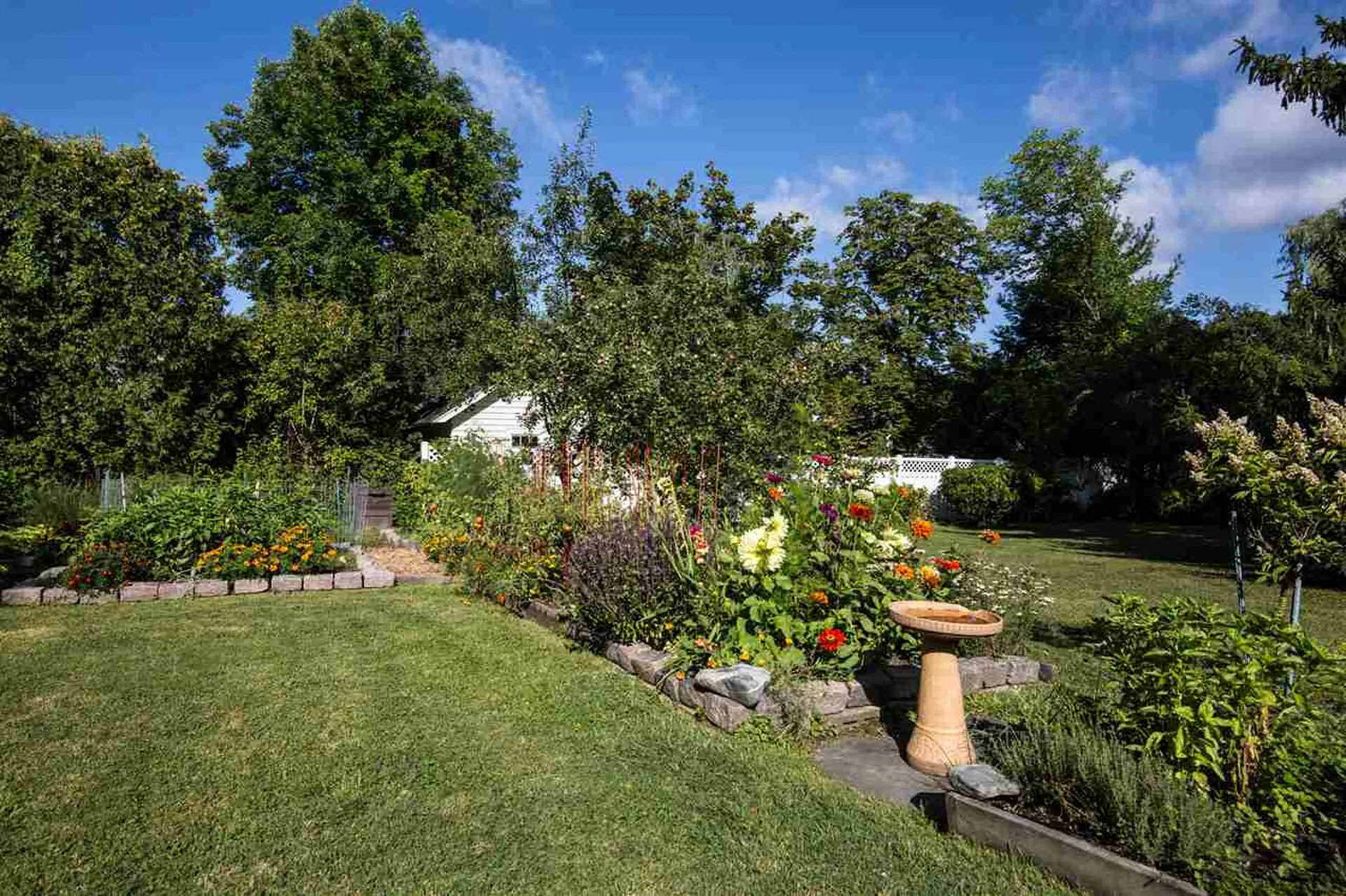 339 South Prospect Street Burlington VT 05401