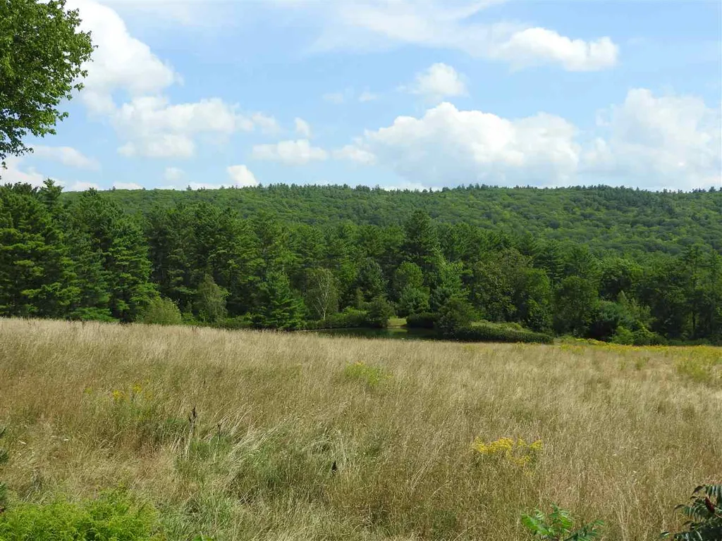 305 Bear Hill Road Hillsborough NH 03244