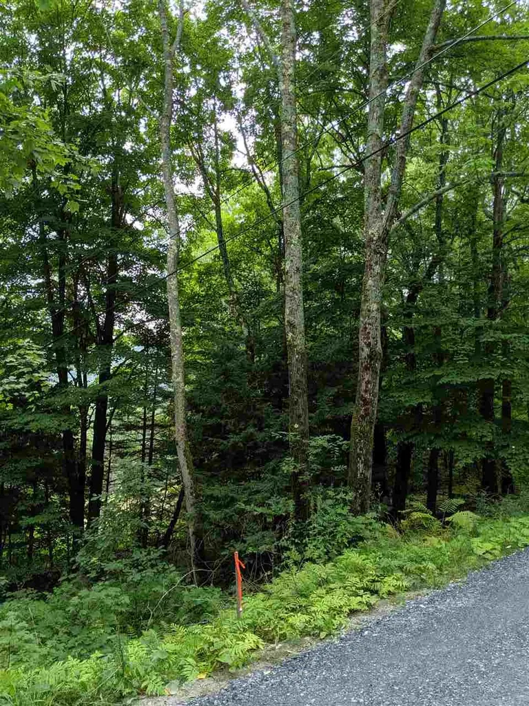 575 Hawk Mountain Road Pittsfield VT 05762