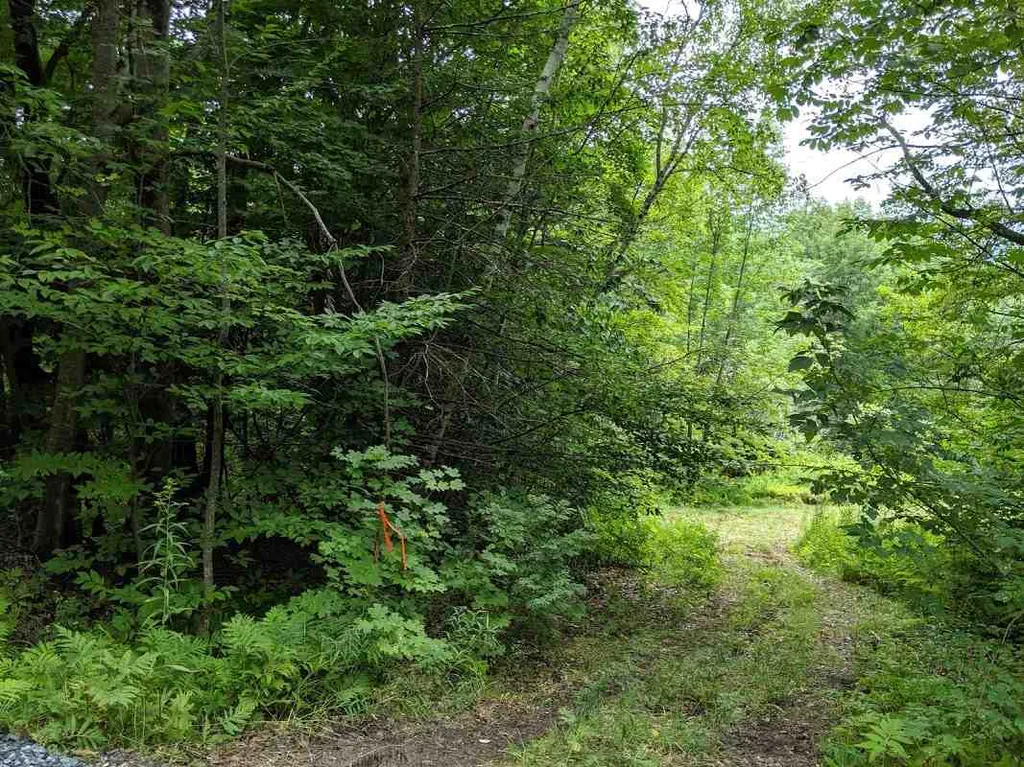 575 Hawk Mountain Road Pittsfield VT 05762