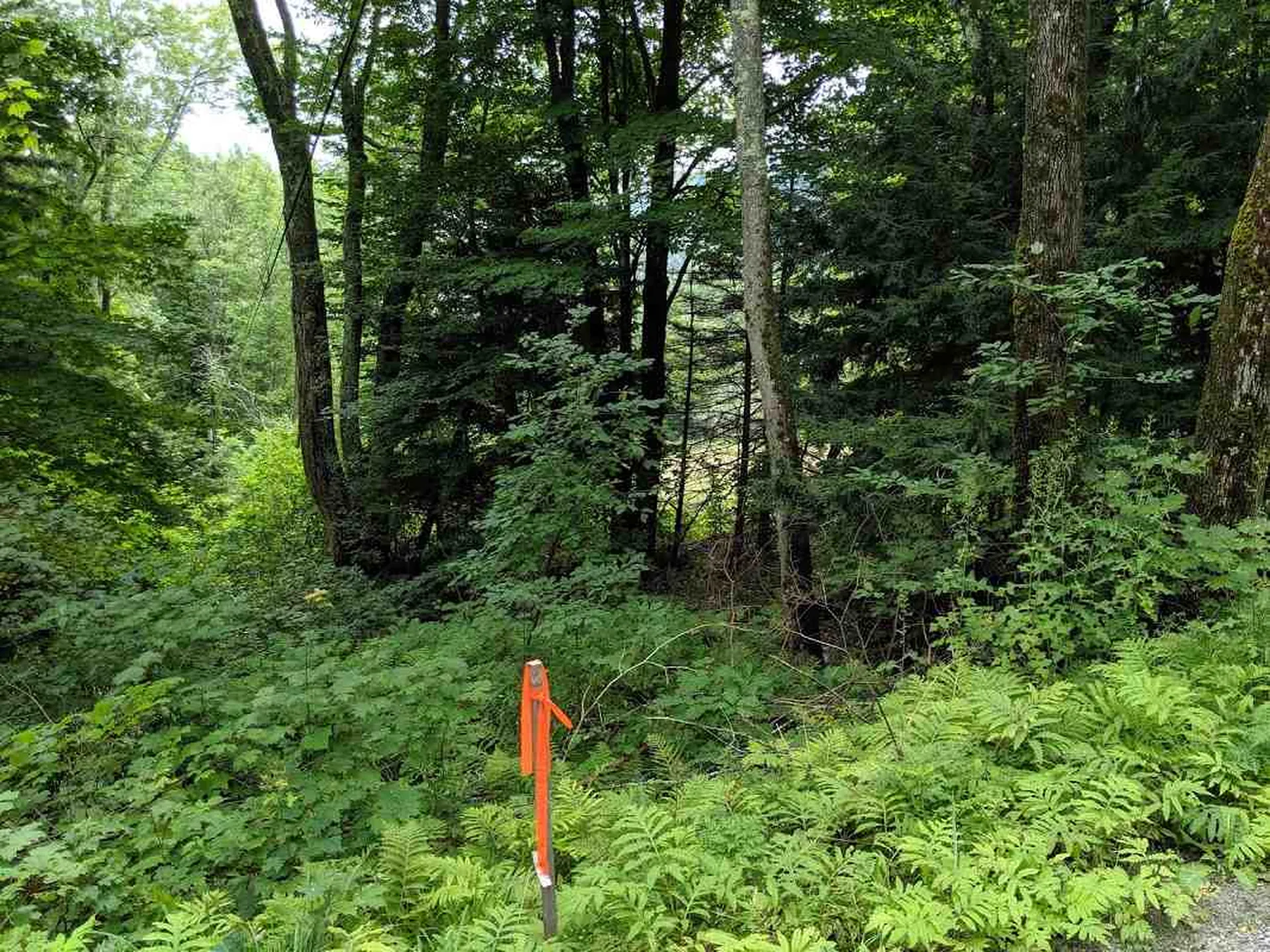 575 Hawk Mountain Road Pittsfield VT 05762