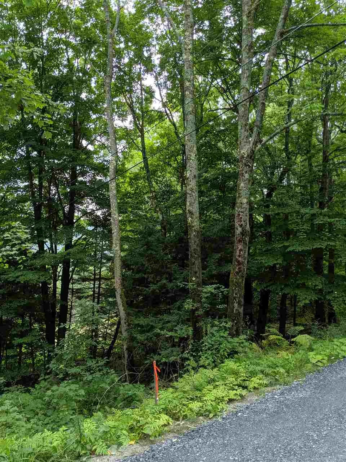 575 Hawk Mountain Road Pittsfield VT 05762