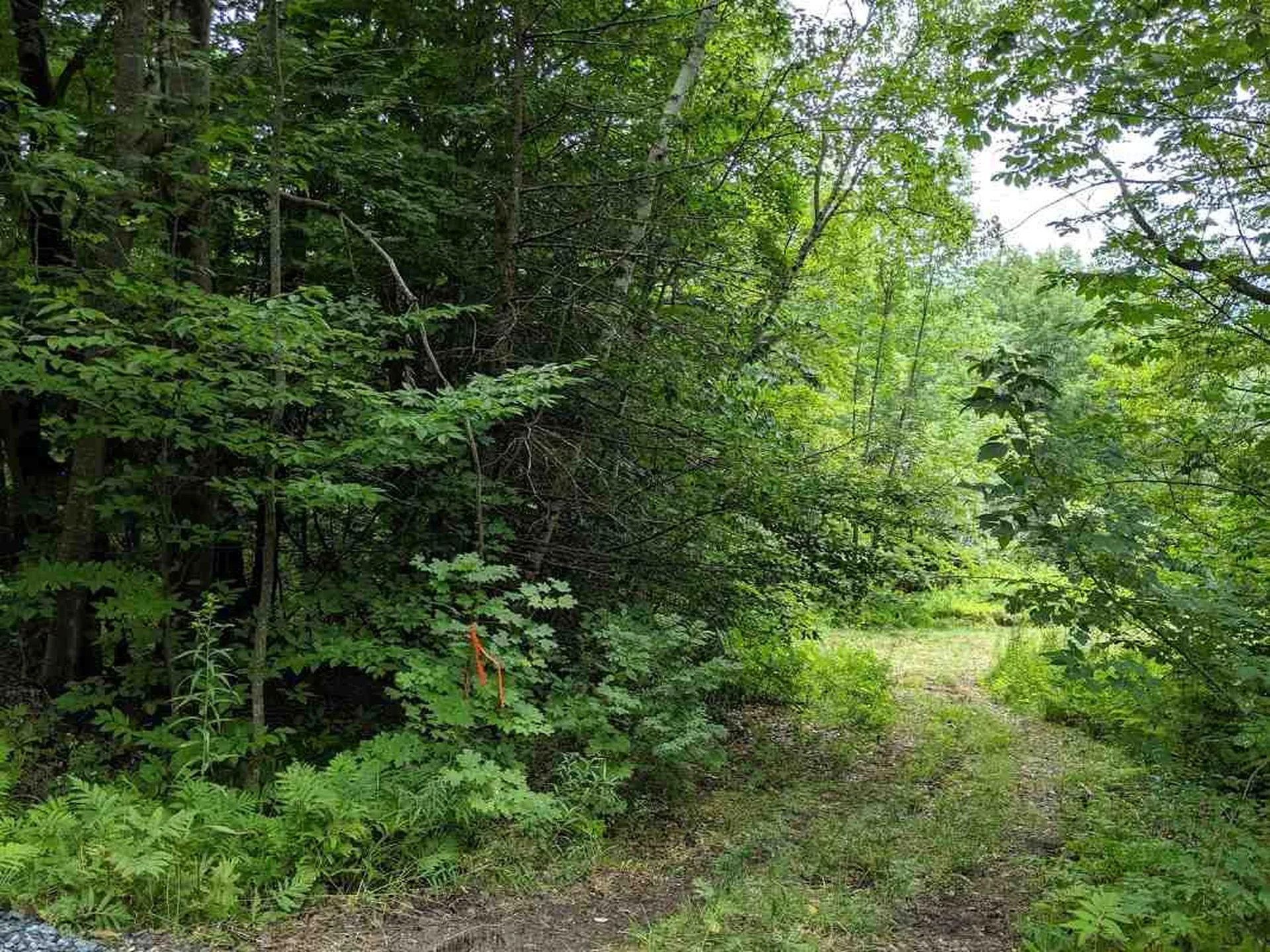 575 Hawk Mountain Road Pittsfield VT 05762