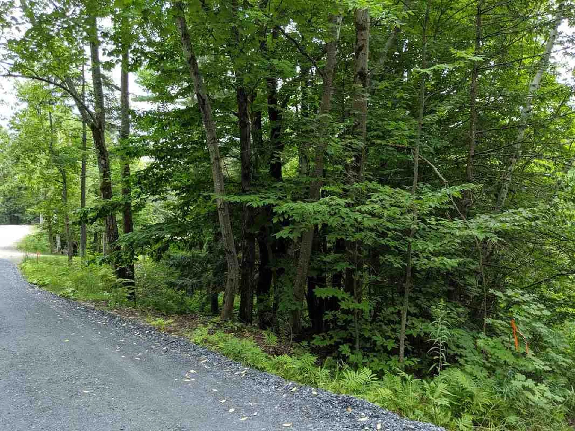 575 Hawk Mountain Road Pittsfield VT 05762