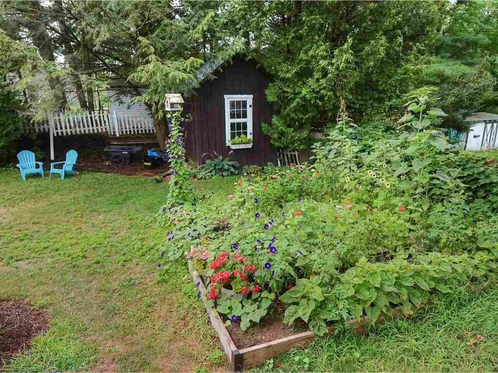 39 Mcintosh Avenue South Burlington VT 05403
