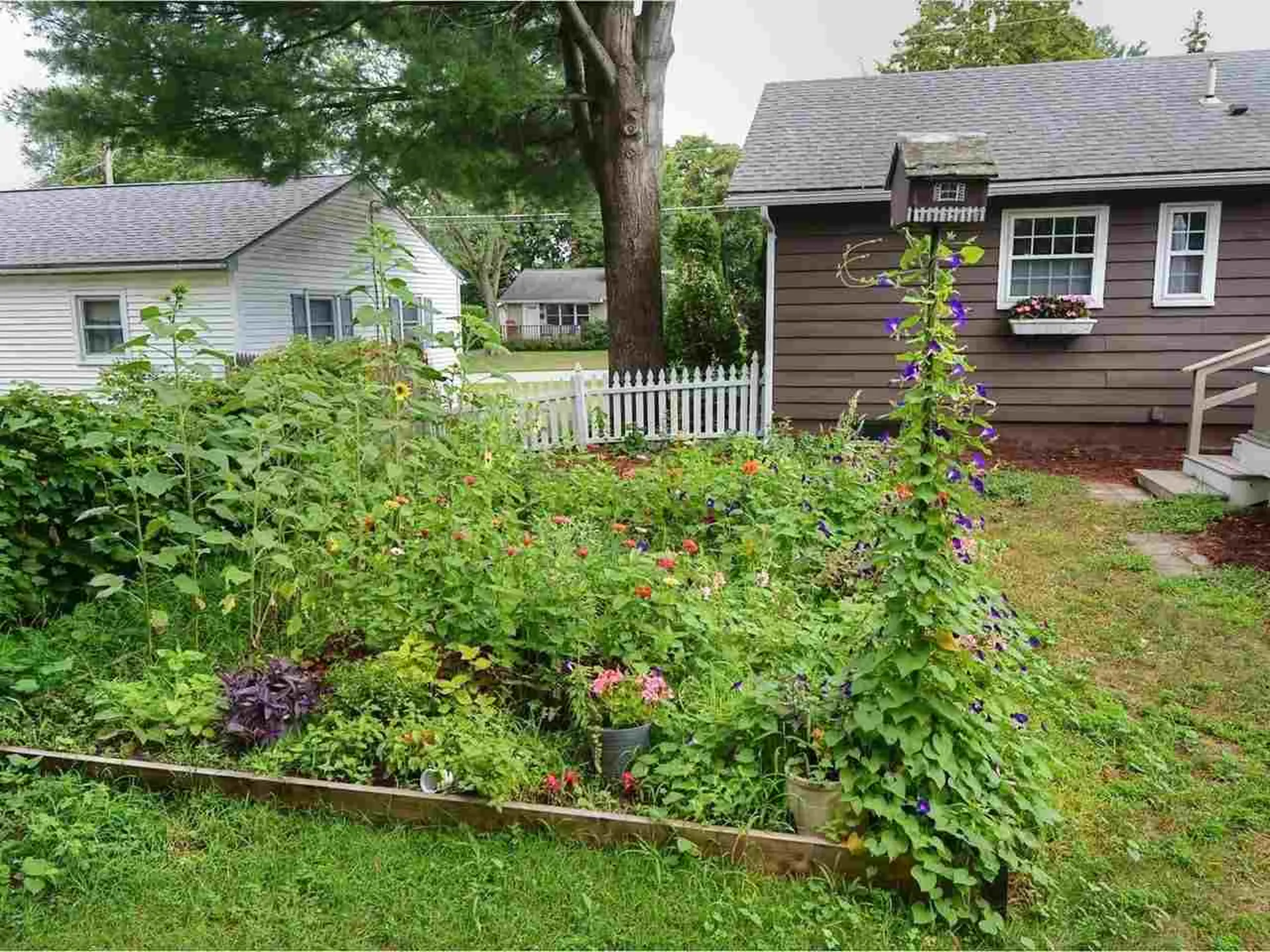 39 Mcintosh Avenue South Burlington VT 05403