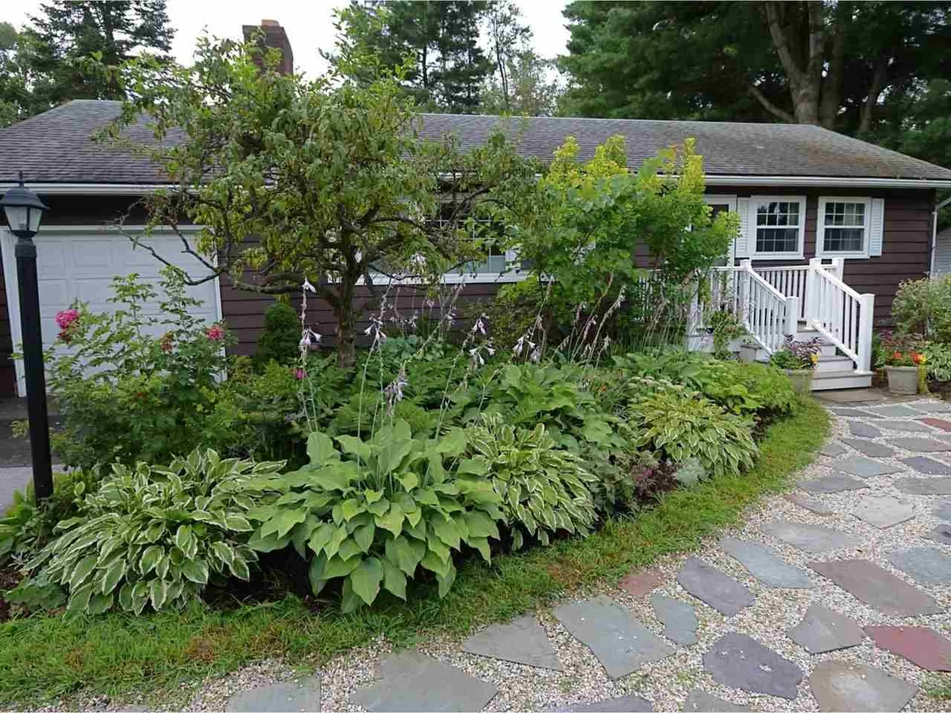 39 Mcintosh Avenue South Burlington VT 05403