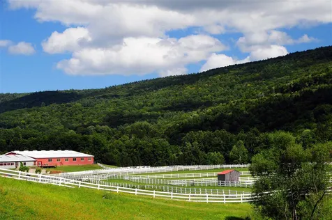 322 River Road Newfane VT 05345