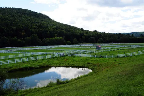 322 River Road Newfane VT 05345