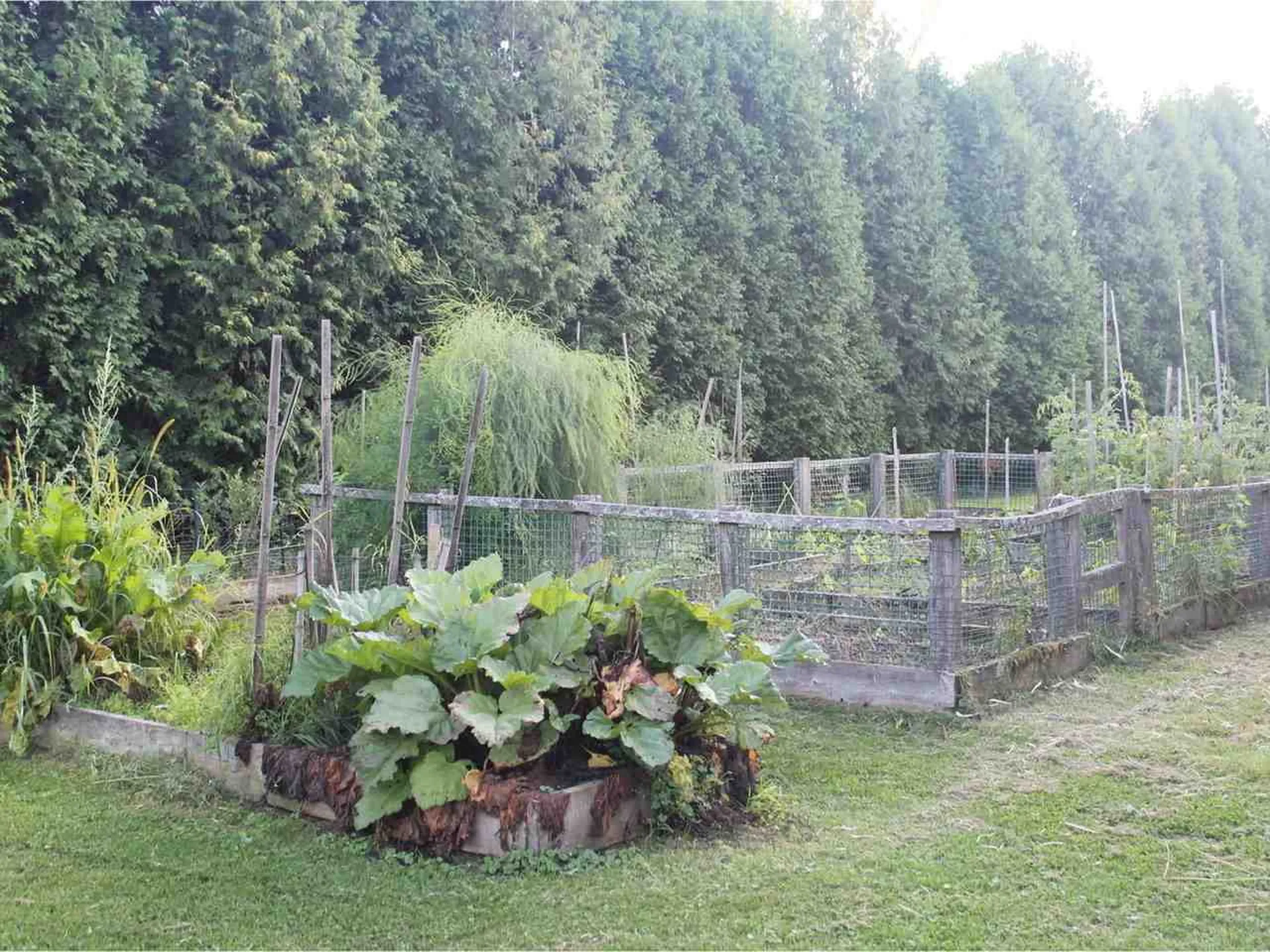 41 Stirrup Circle Williston VT 05495